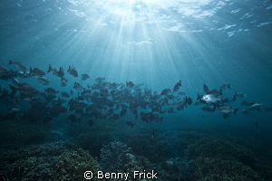 A nice day in Sipadan.  Canon 5D   17mm by Benny Frick 
